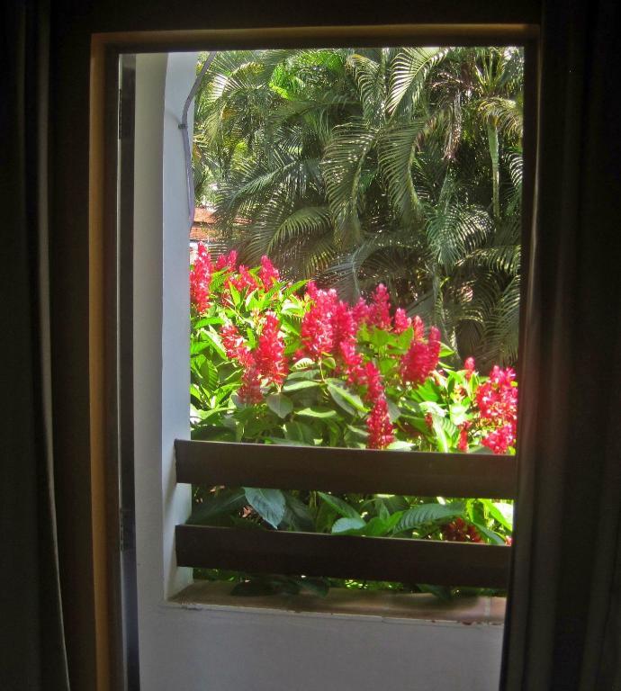 Triple Room with Mountain View,925525042:JPEG